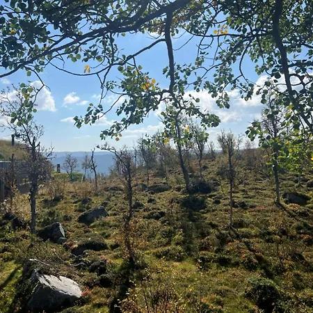 Nyaraló Spacious, Exclusive And Modern In *